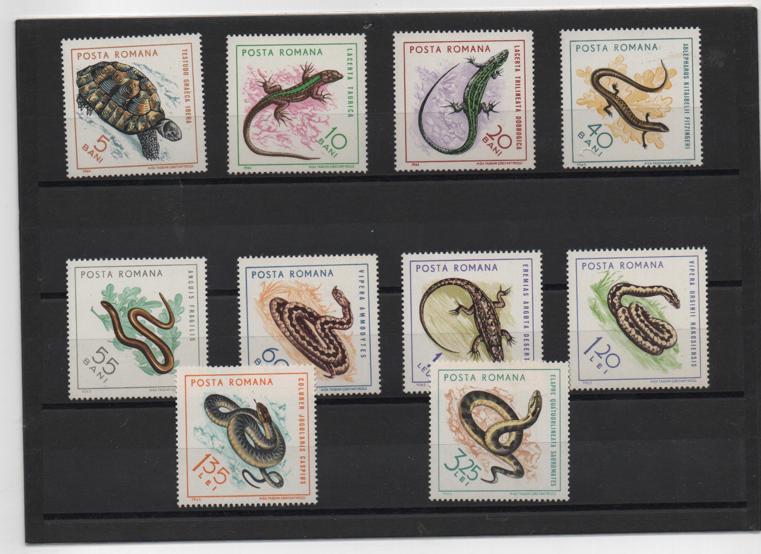 RUMANIA DEL AÑO 1964 FAUNA VARIADA